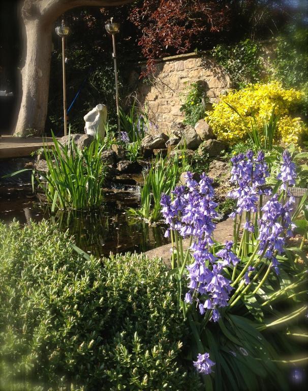 Hazel Manor Guest House Harrogate Exterior foto