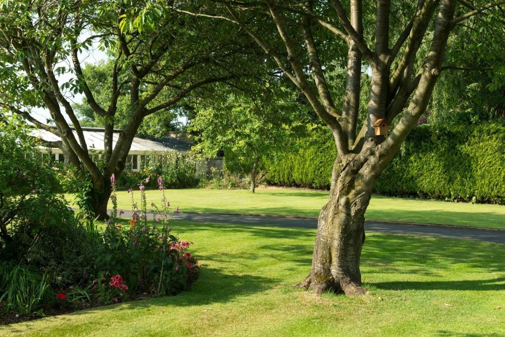 Hazel Manor Guest House Harrogate Exterior foto
